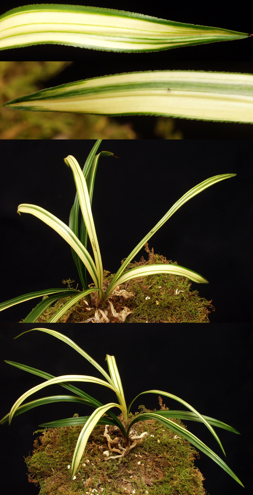 ������ ū������ �� �� �ֽ��ϴ�.