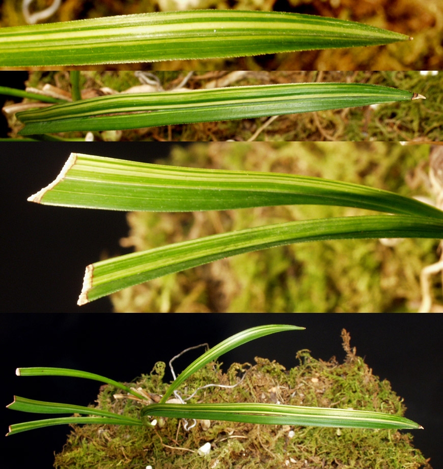 ������ ū������ �� �� �ֽ��ϴ�.