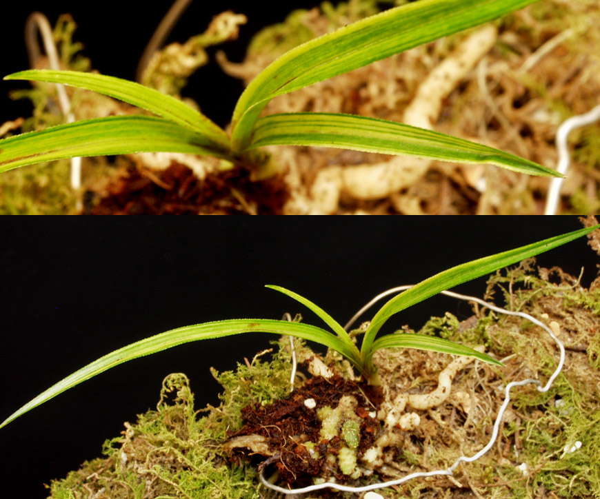 ������ ū������ �� �� �ֽ��ϴ�.