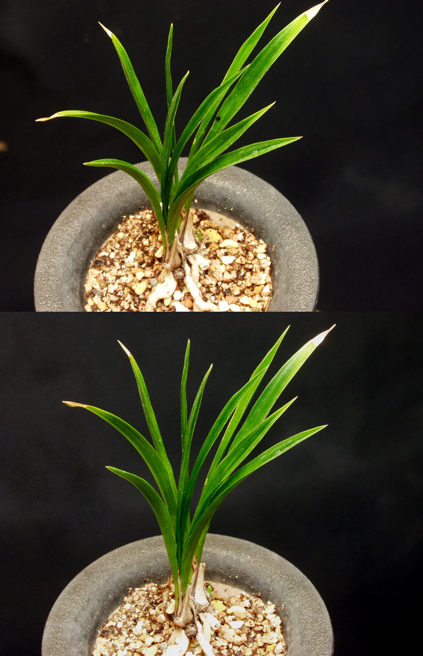 ������ ū������ �� �� �ֽ��ϴ�.