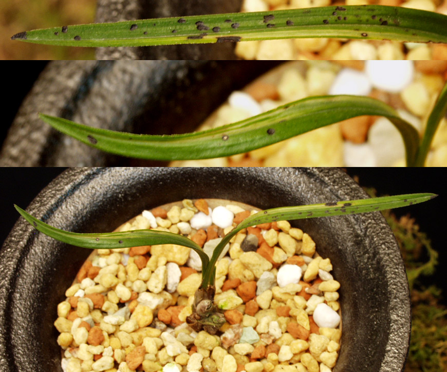 ������ ū������ �� �� �ֽ��ϴ�.