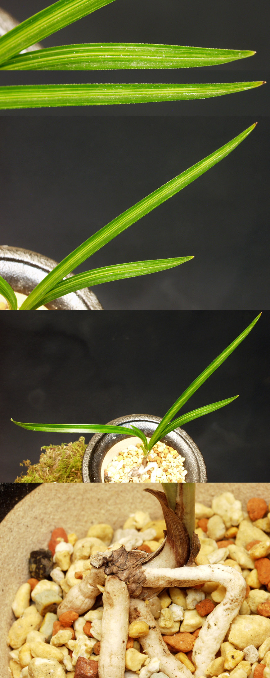 ������ ū������ �� �� �ֽ��ϴ�.