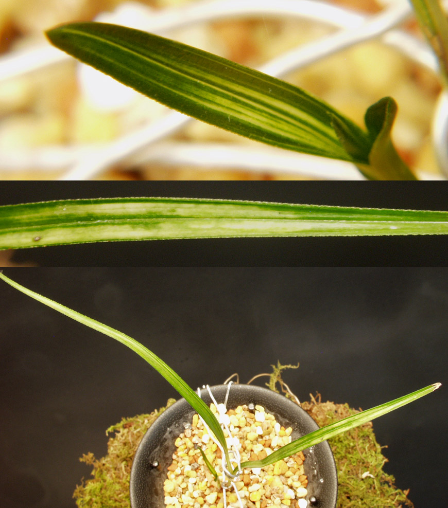 ������ ū������ �� �� �ֽ��ϴ�.