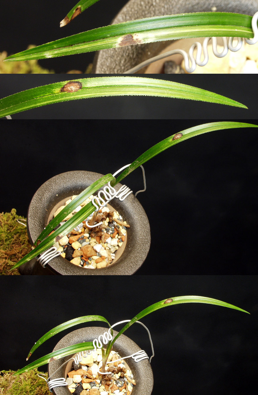 ������ ū������ �� �� �ֽ��ϴ�.