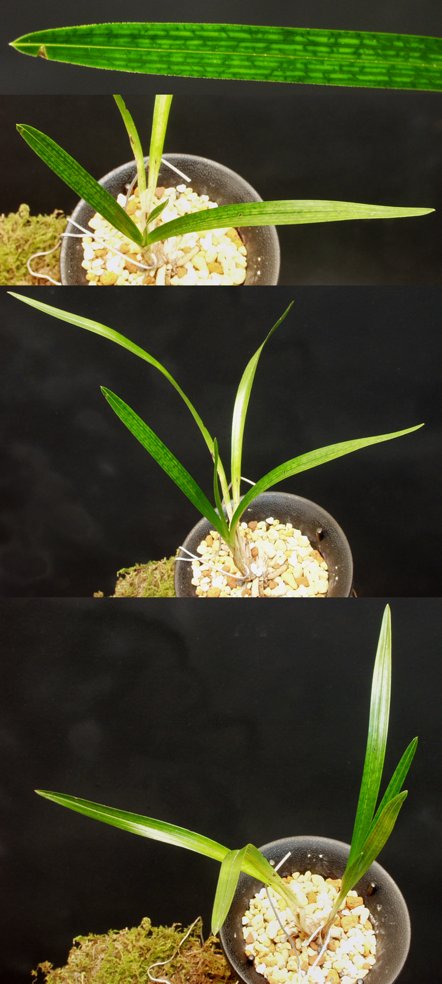 ������ ū������ �� �� �ֽ��ϴ�.