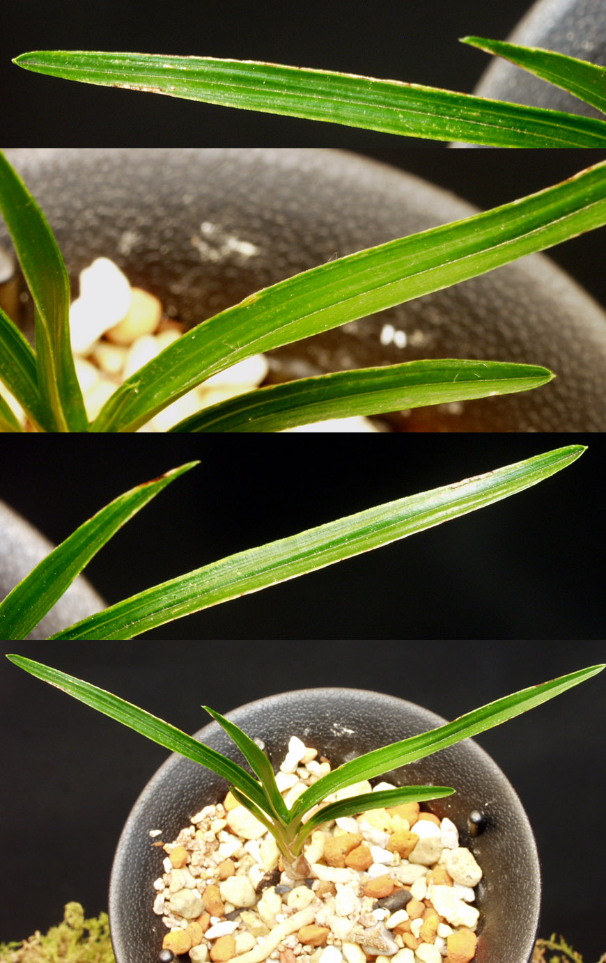 ������ ū������ �� �� �ֽ��ϴ�.