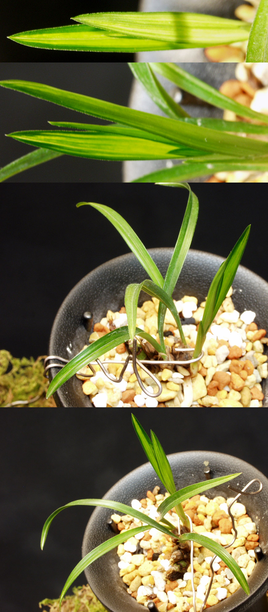 ������ ū������ �� �� �ֽ��ϴ�.