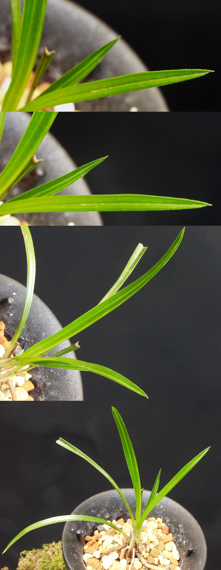 ������ ū������ �� �� �ֽ��ϴ�.