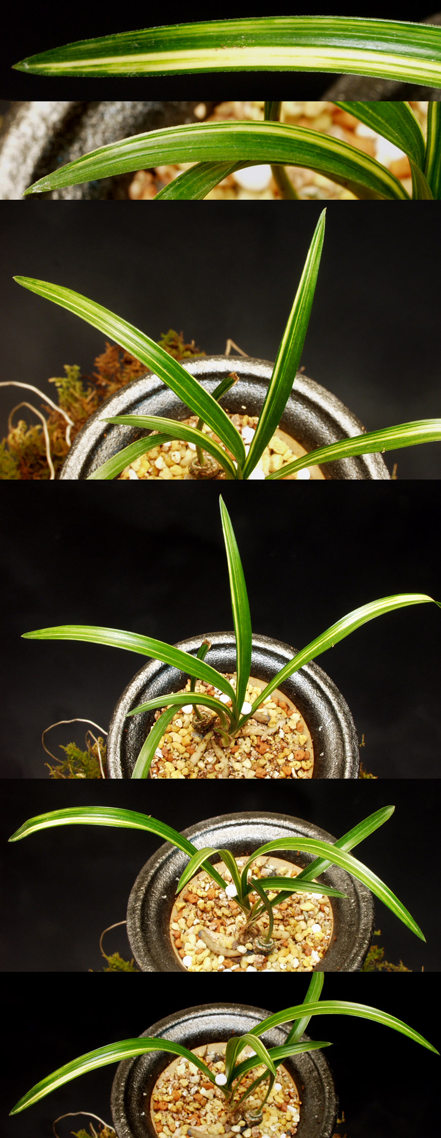 ������ ū������ �� �� �ֽ��ϴ�.