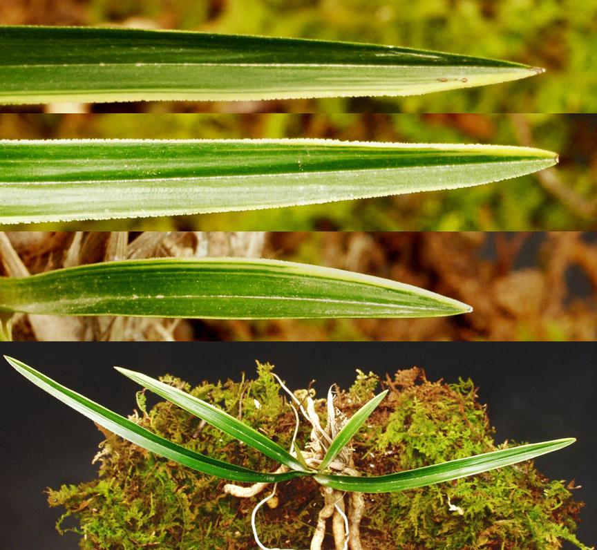 ������ ū������ �� �� �ֽ��ϴ�.