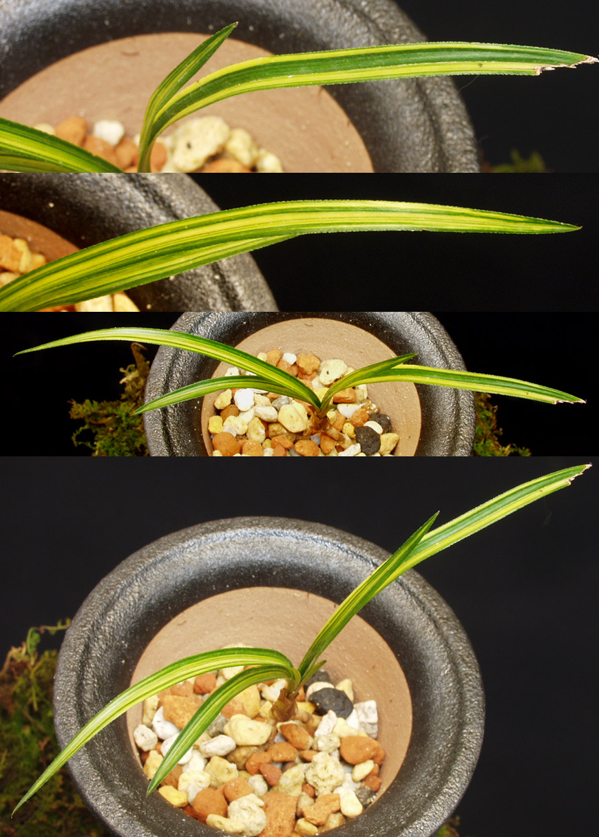 ������ ū������ �� �� �ֽ��ϴ�.