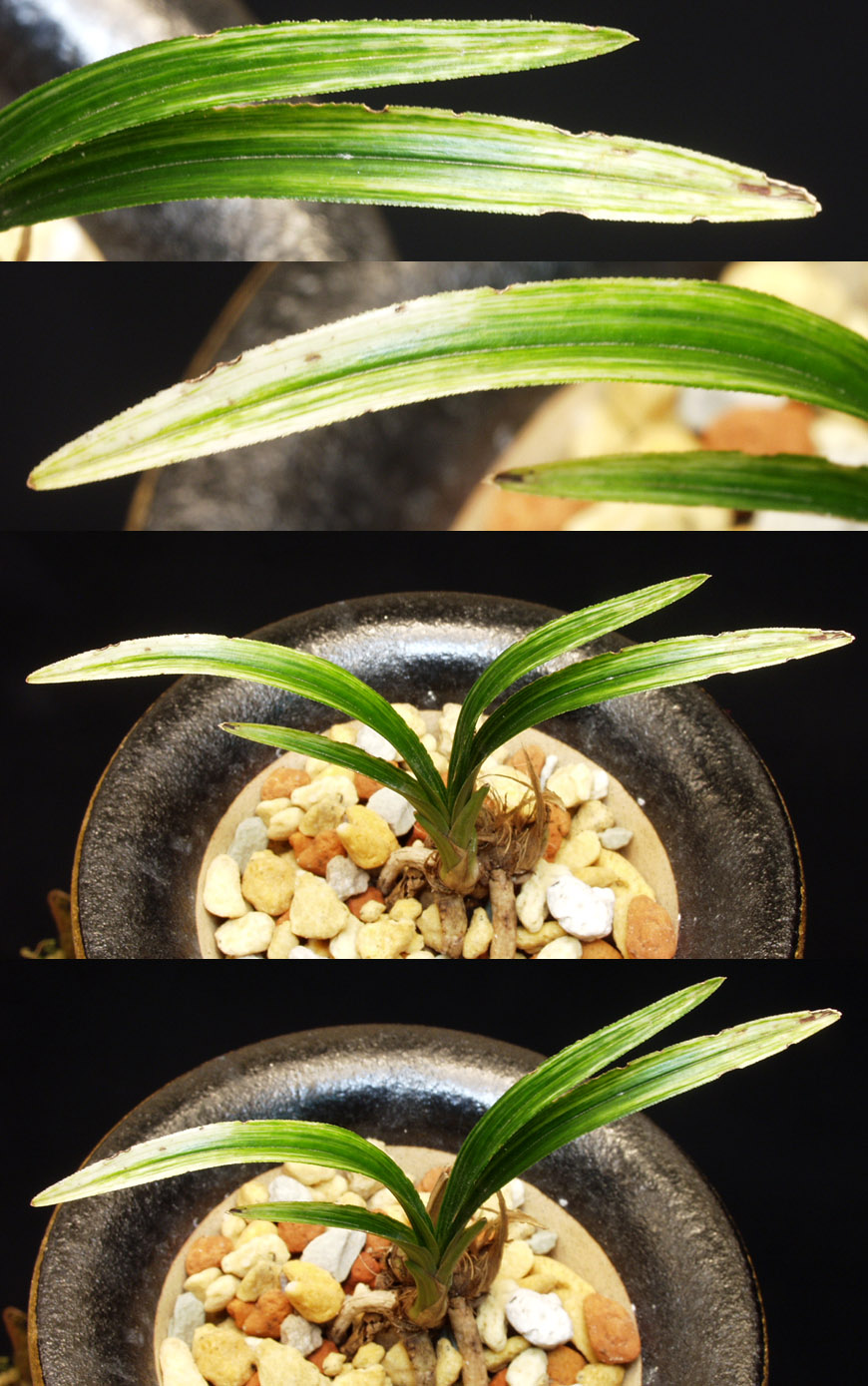 ������ ū������ �� �� �ֽ��ϴ�.