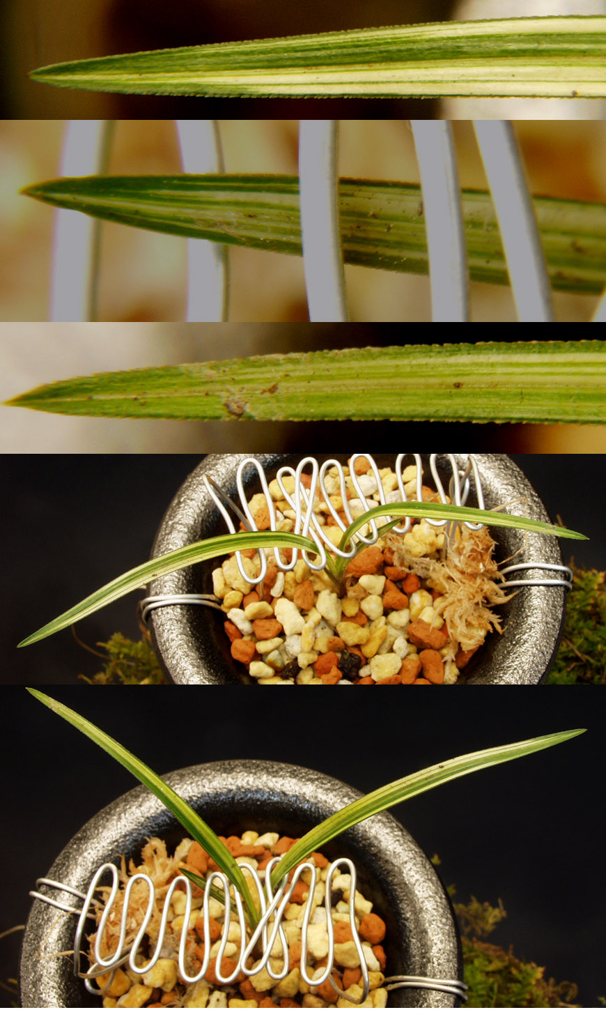 ������ ū������ �� �� �ֽ��ϴ�.