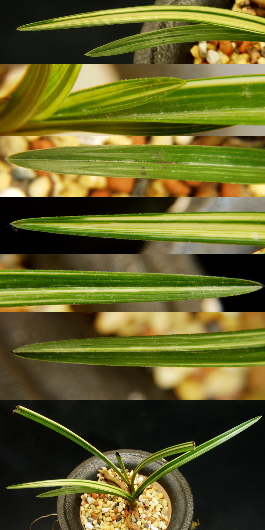 ������ ū������ �� �� �ֽ��ϴ�.