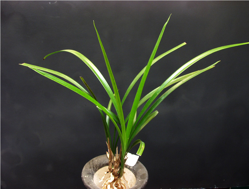 ������ ū������ �� �� �ֽ��ϴ�.