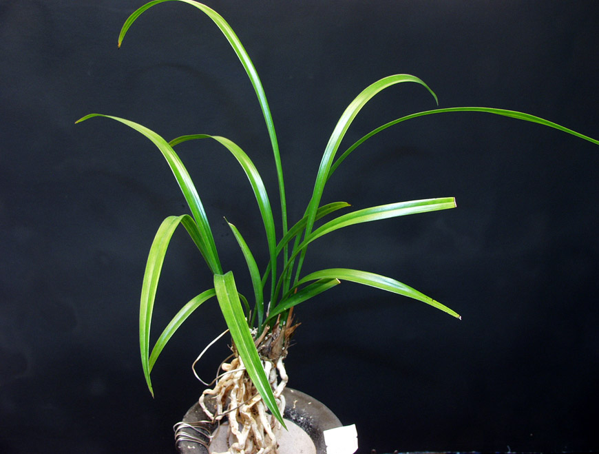 ������ ū������ �� �� �ֽ��ϴ�.