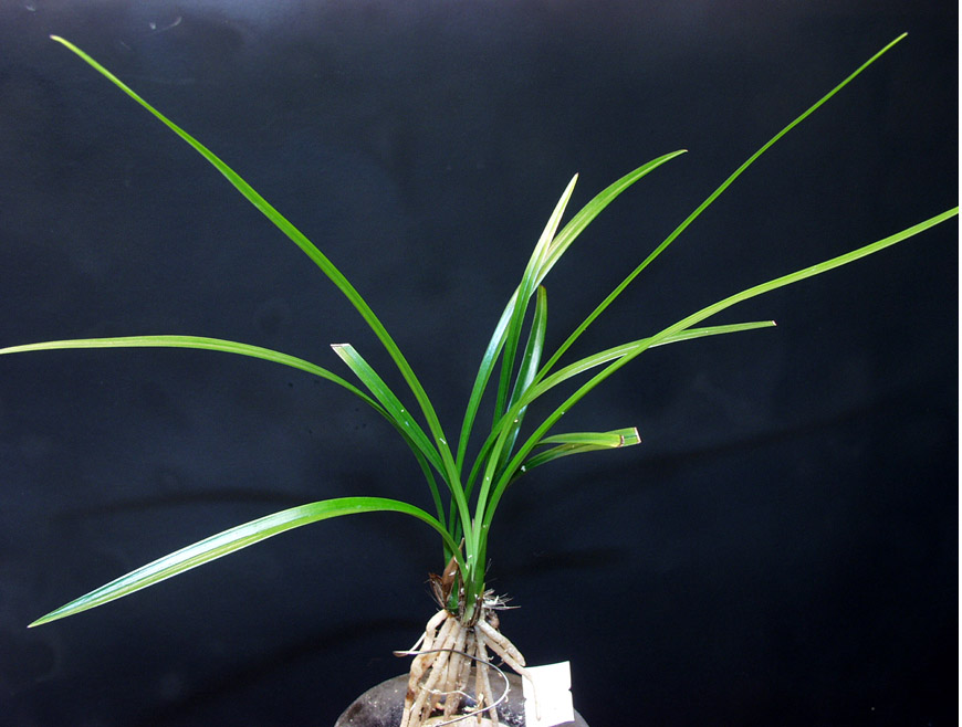 ������ ū������ �� �� �ֽ��ϴ�.