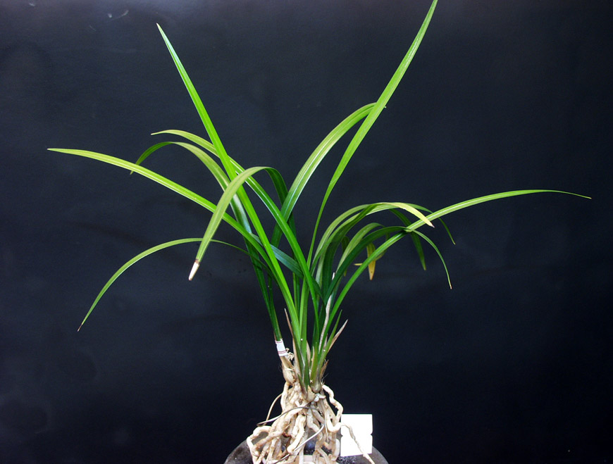 ������ ū������ �� �� �ֽ��ϴ�.