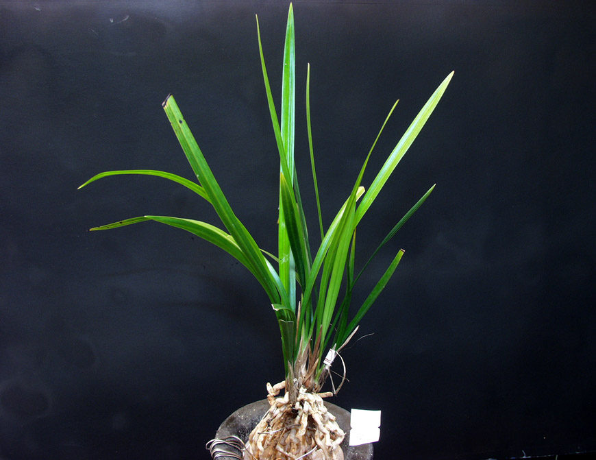 ������ ū������ �� �� �ֽ��ϴ�.