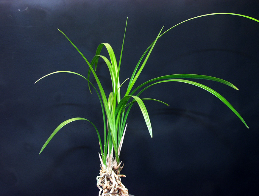 ������ ū������ �� �� �ֽ��ϴ�.