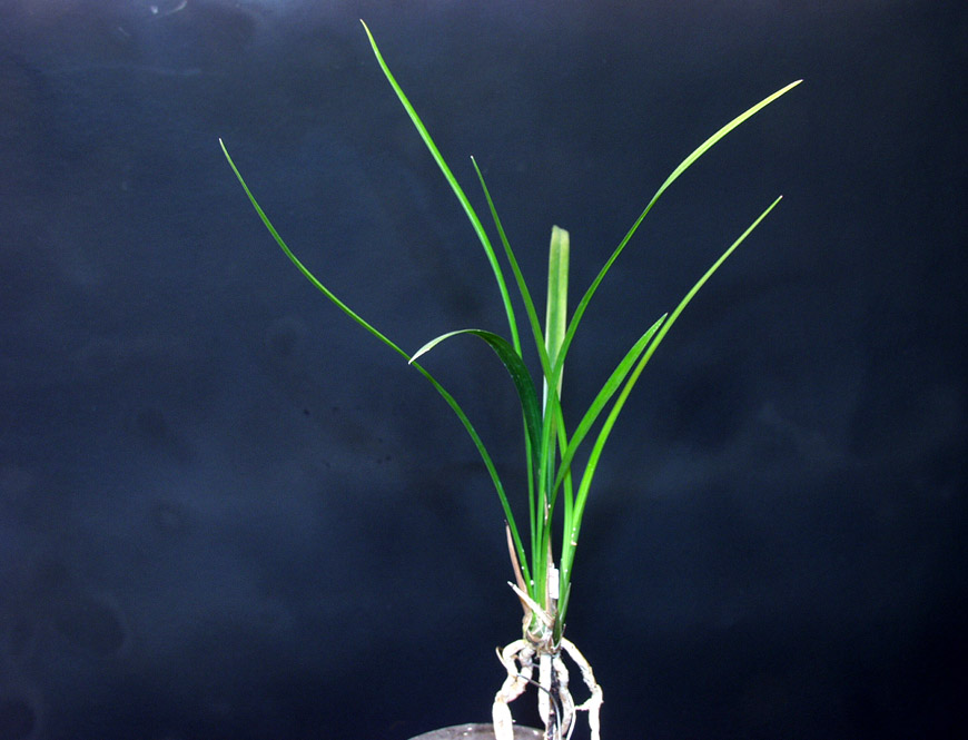 ������ ū������ �� �� �ֽ��ϴ�.