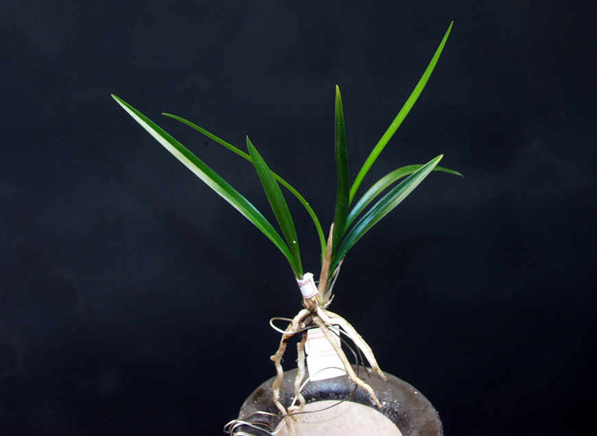 ������ ū������ �� �� �ֽ��ϴ�.