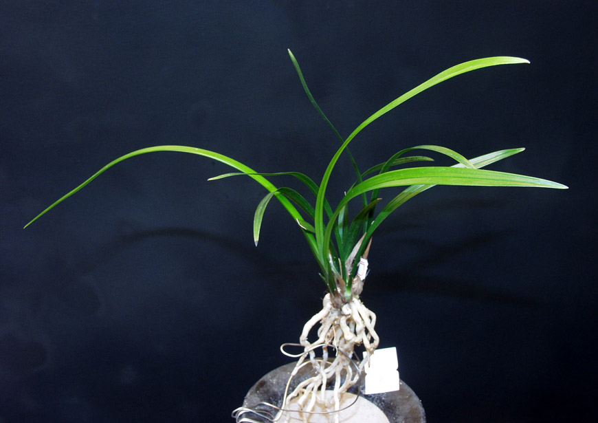 ������ ū������ �� �� �ֽ��ϴ�.