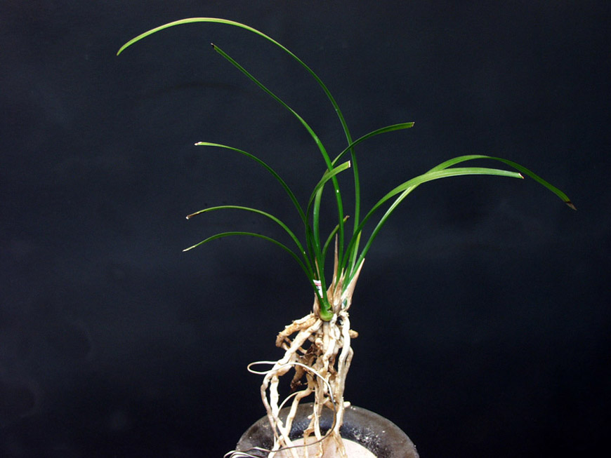 ������ ū������ �� �� �ֽ��ϴ�.