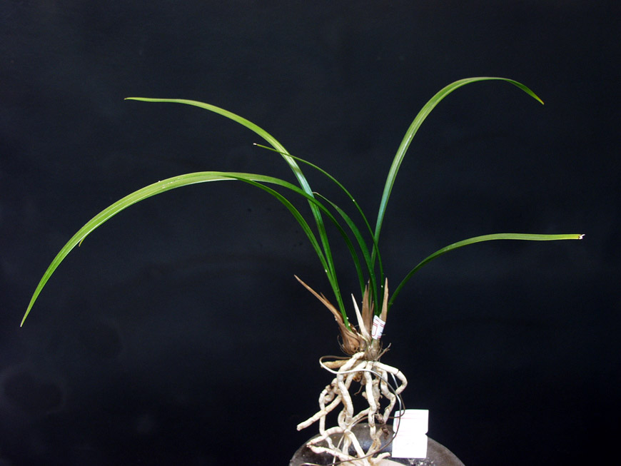 ������ ū������ �� �� �ֽ��ϴ�.