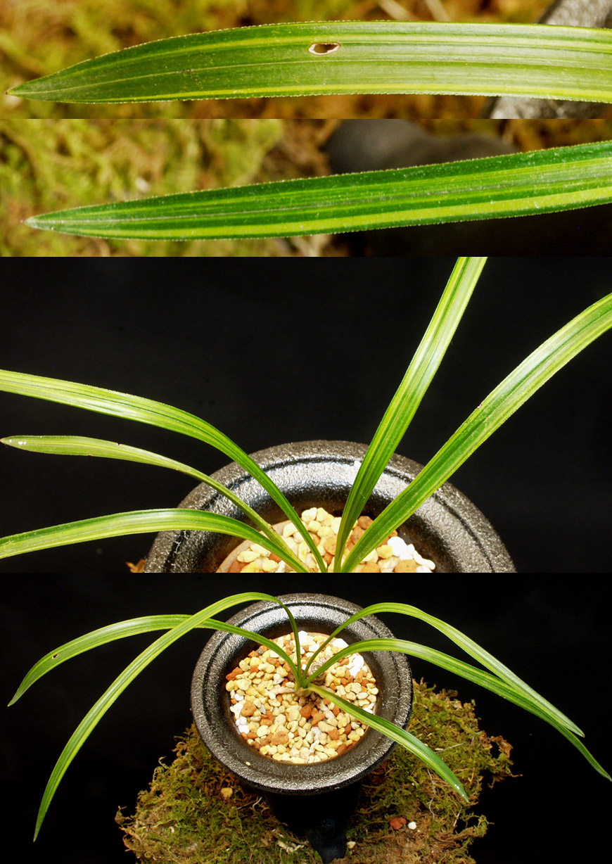 ������ ū������ �� �� �ֽ��ϴ�.