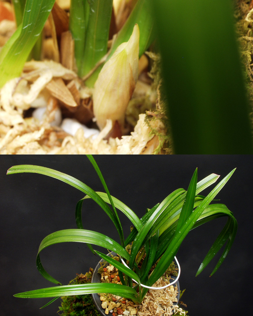 ������ ū������ �� �� �ֽ��ϴ�.