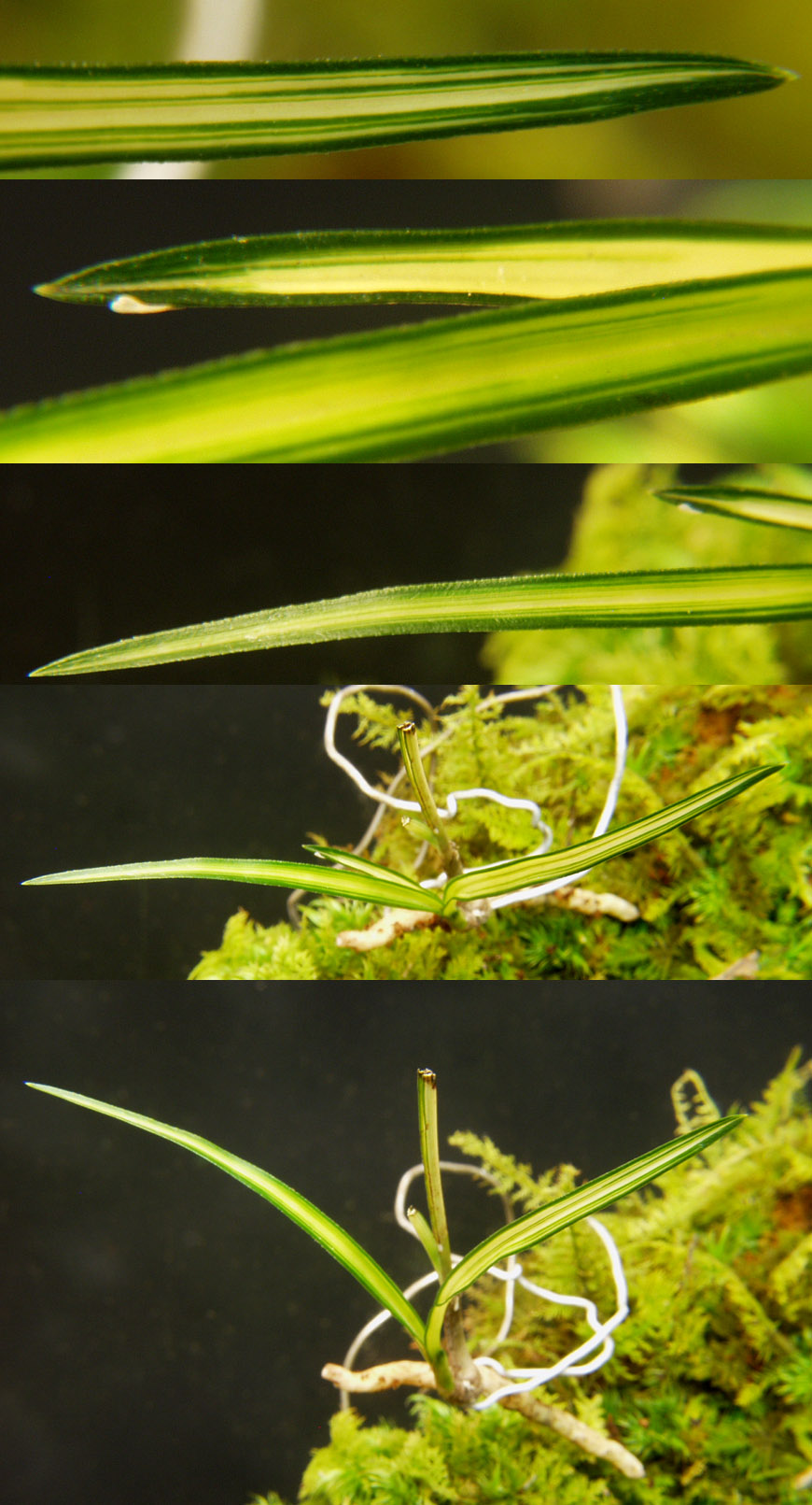 ������ ū������ �� �� �ֽ��ϴ�.