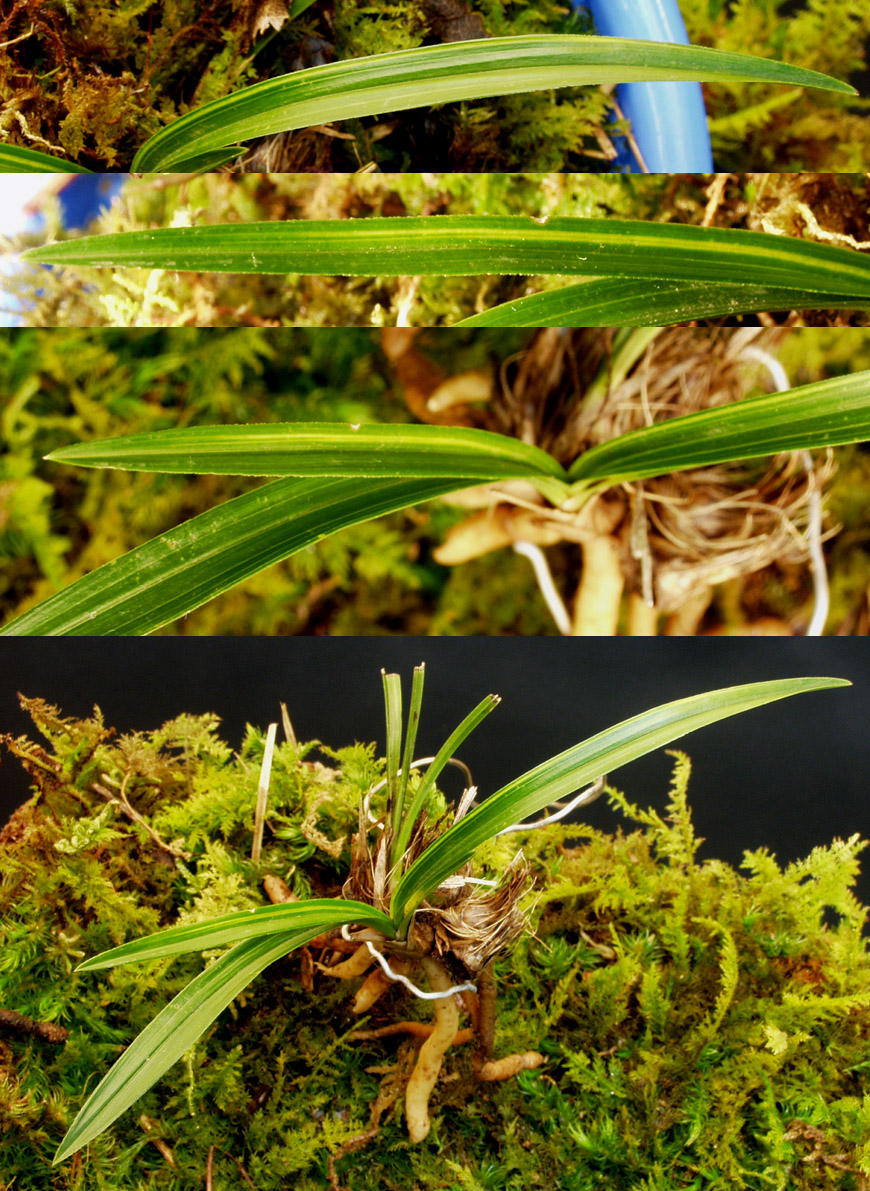 ������ ū������ �� �� �ֽ��ϴ�.