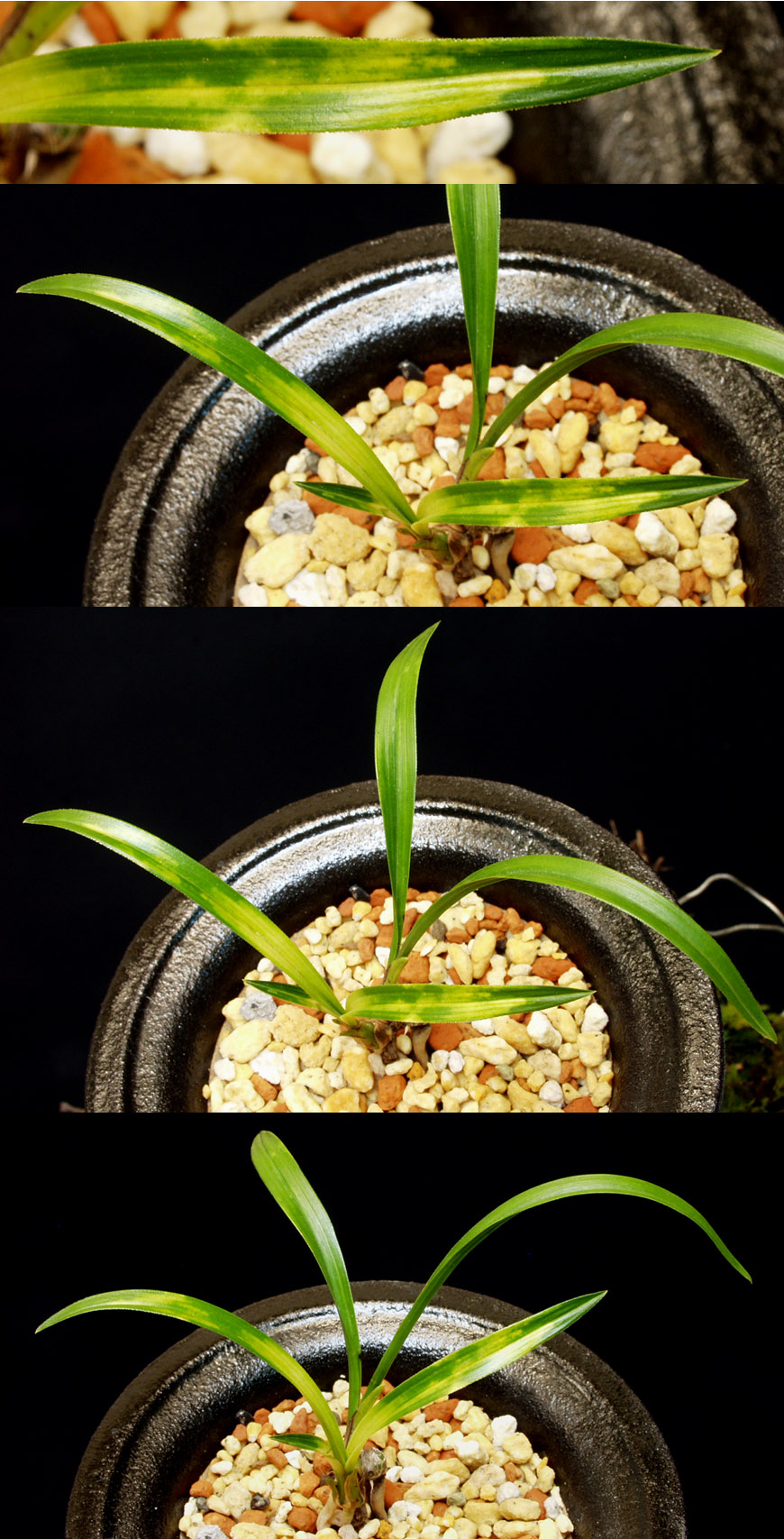 ������ ū������ �� �� �ֽ��ϴ�.