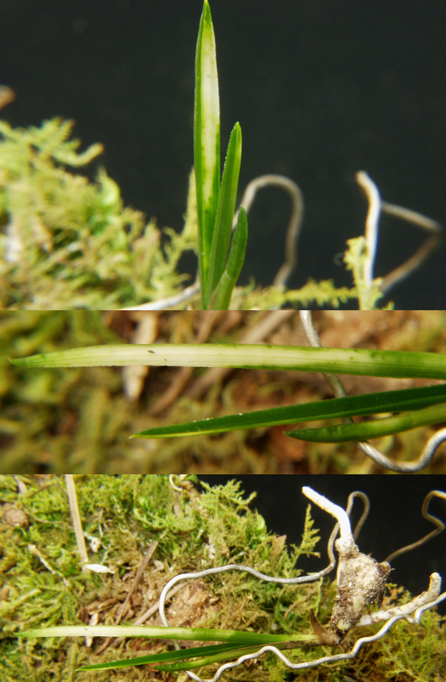 ������ ū������ �� �� �ֽ��ϴ�.