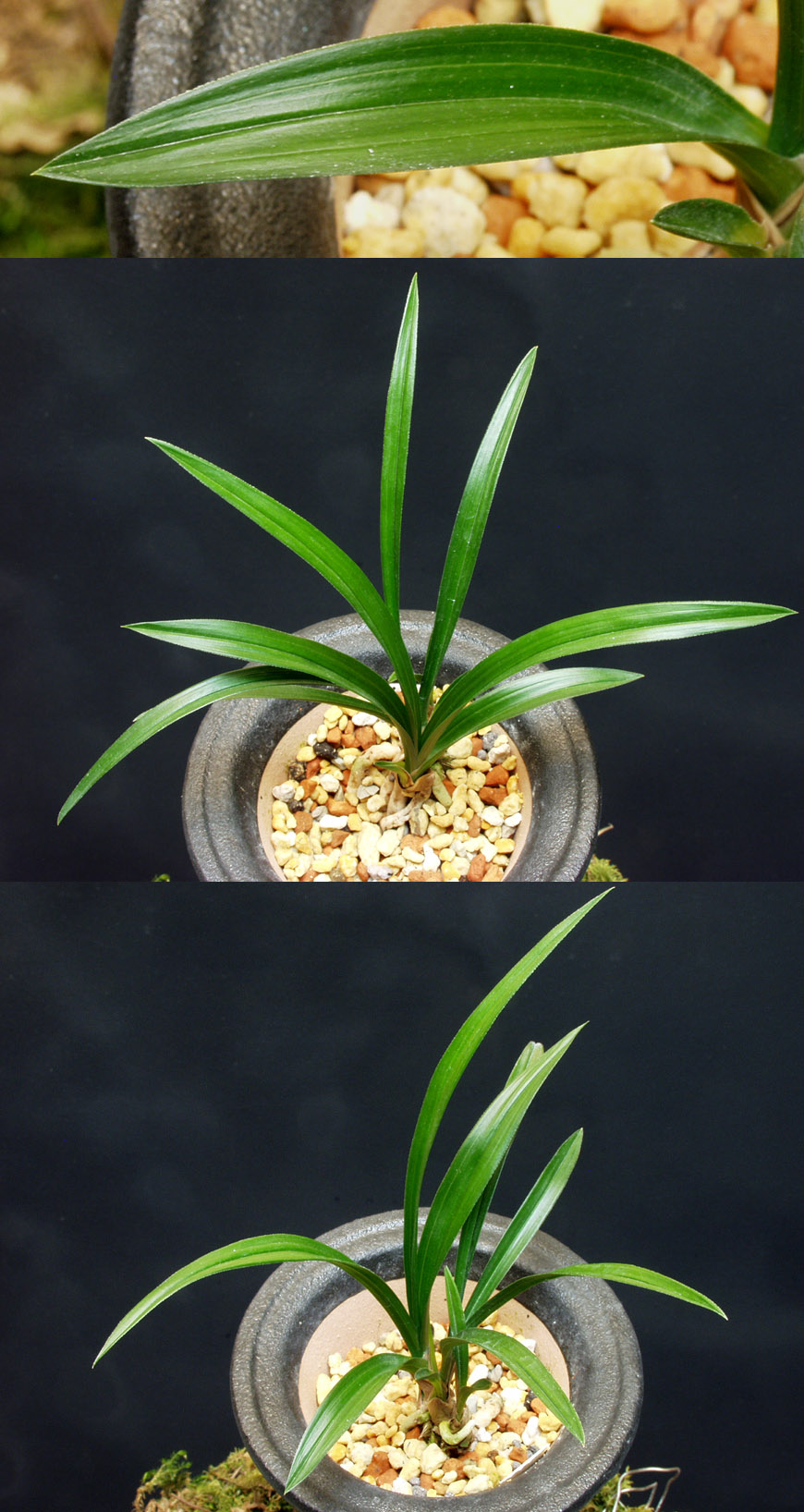 ������ ū������ �� �� �ֽ��ϴ�.