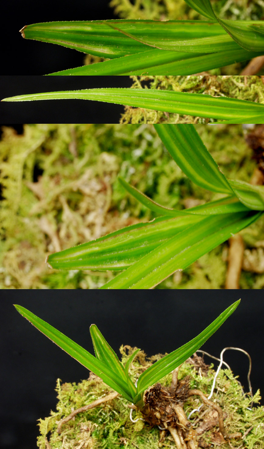 ������ ū������ �� �� �ֽ��ϴ�.