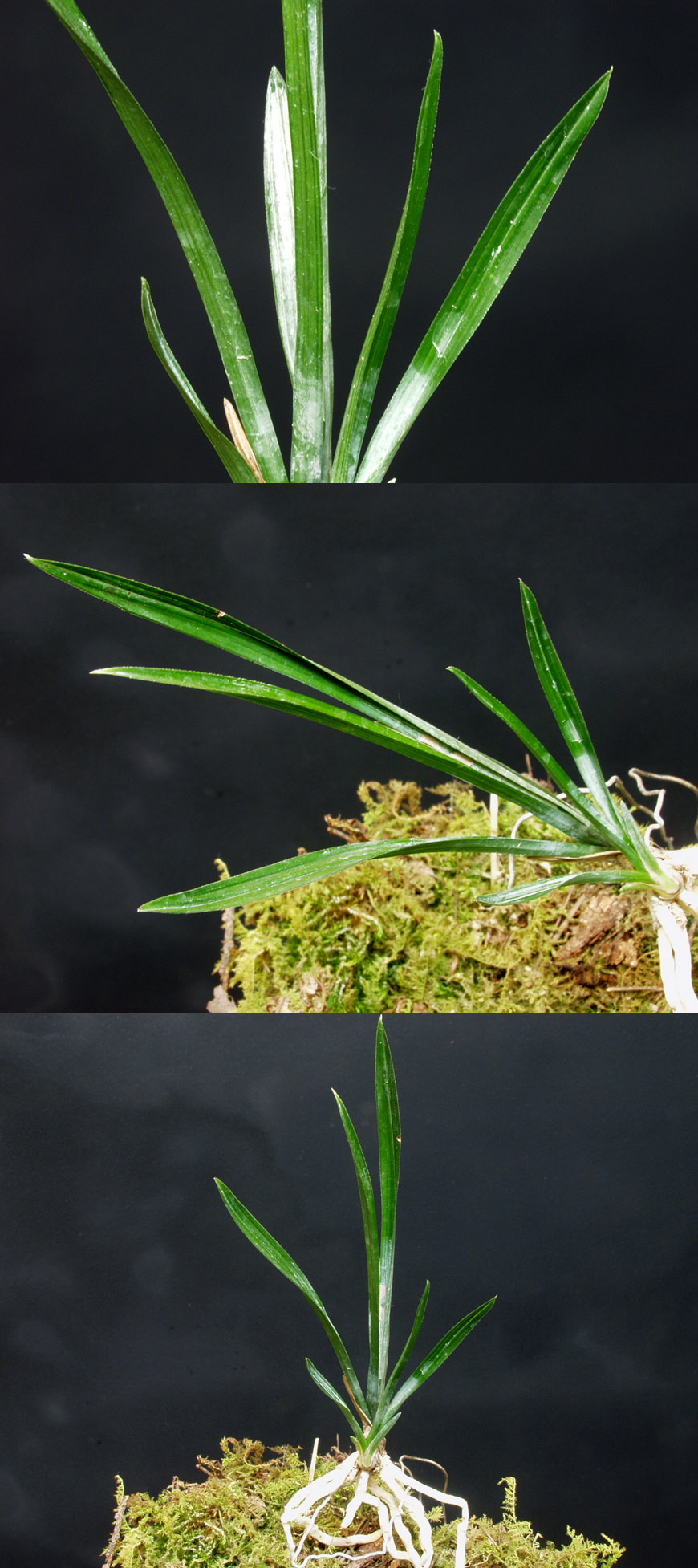 ������ ū������ �� �� �ֽ��ϴ�.