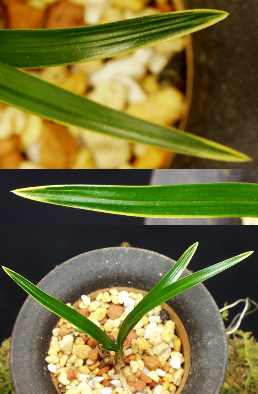 ������ ū������ �� �� �ֽ��ϴ�.