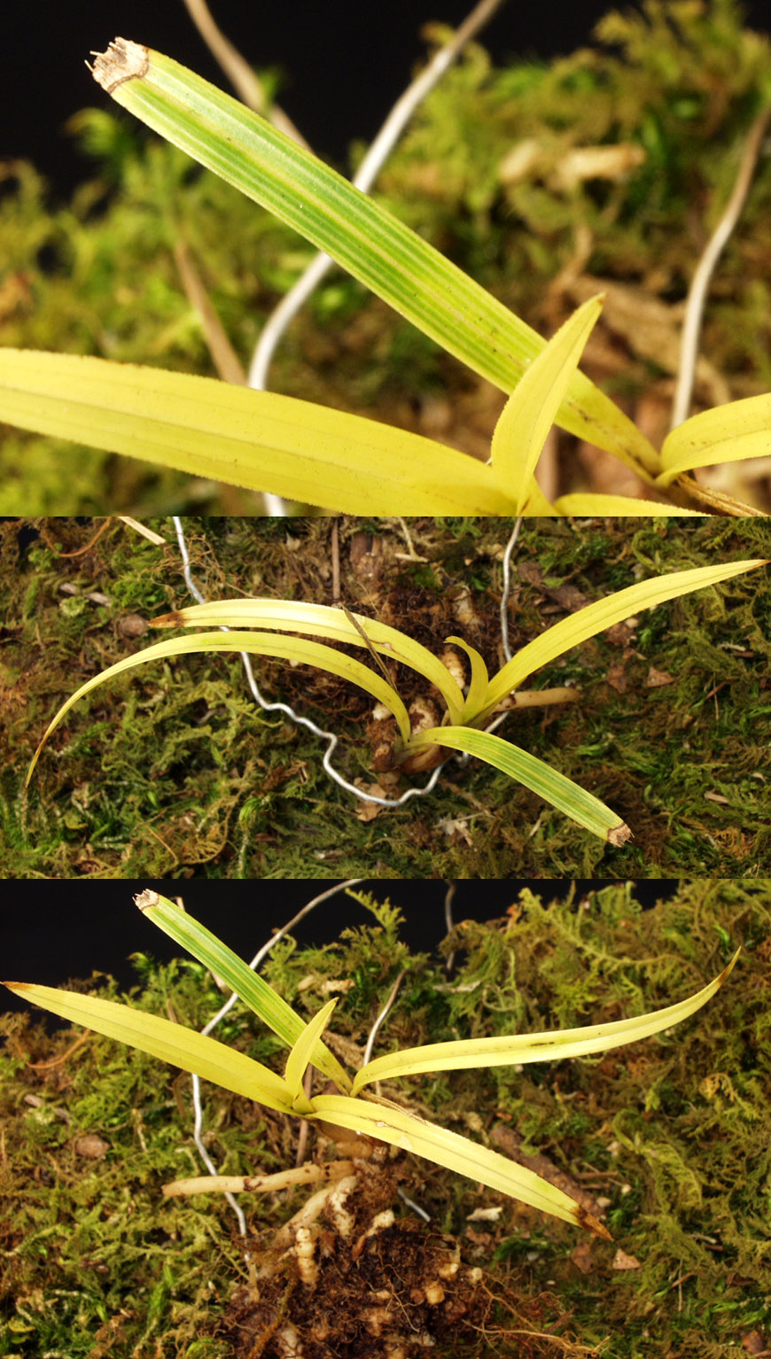 ������ ū������ �� �� �ֽ��ϴ�.