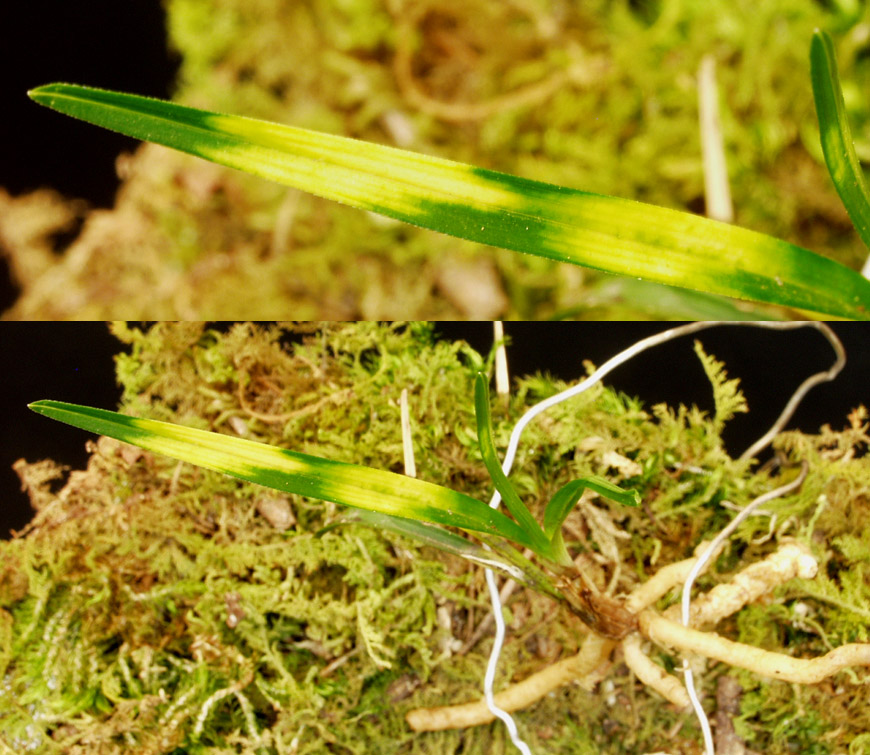 ������ ū������ �� �� �ֽ��ϴ�.