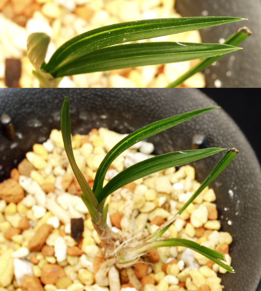 ������ ū������ �� �� �ֽ��ϴ�.