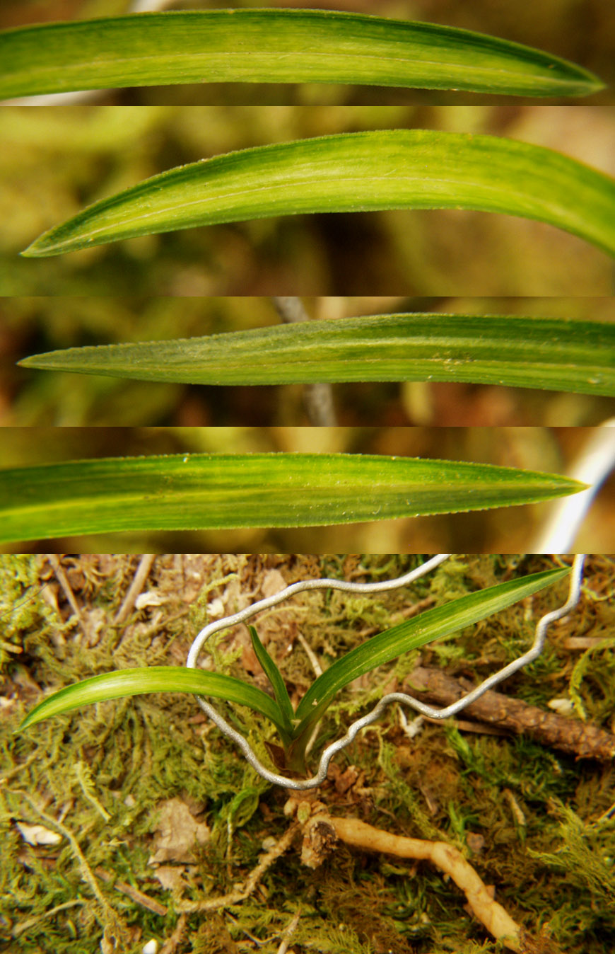 ������ ū������ �� �� �ֽ��ϴ�.