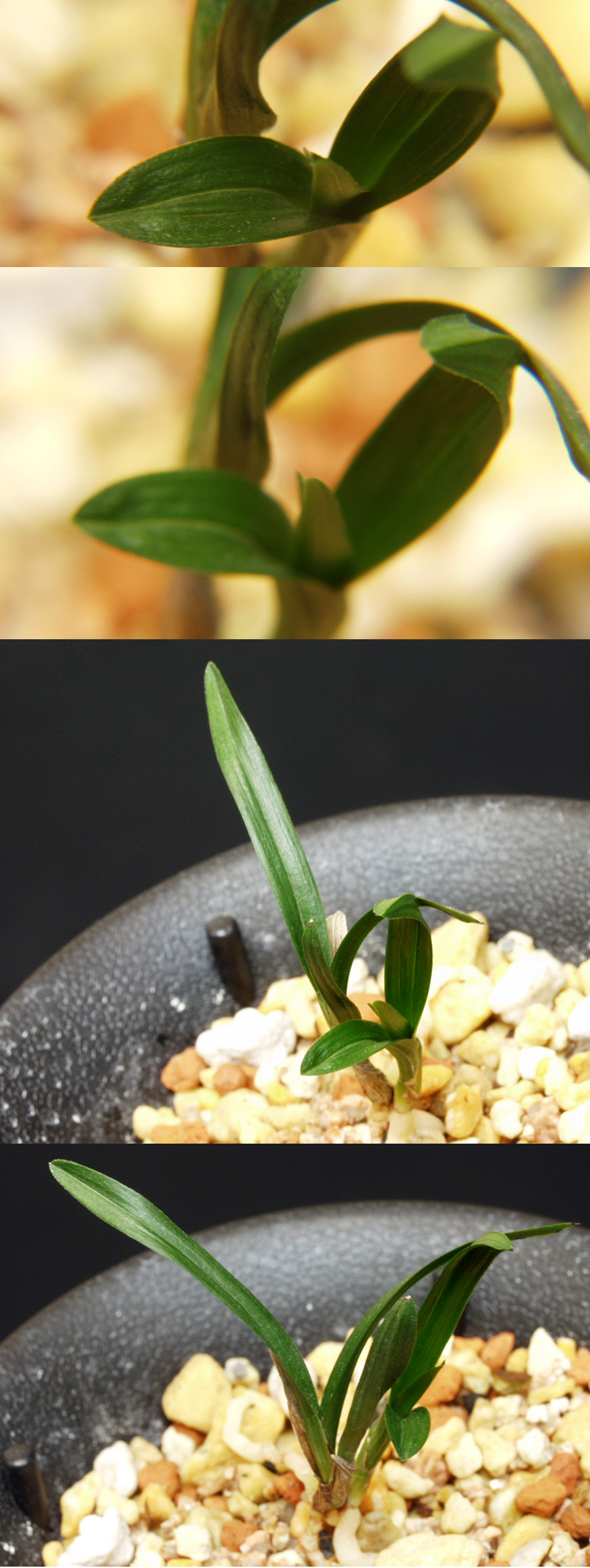 ������ ū������ �� �� �ֽ��ϴ�.