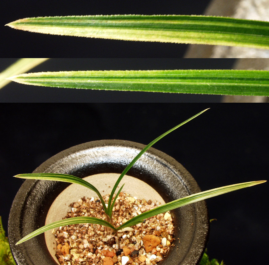 ������ ū������ �� �� �ֽ��ϴ�.