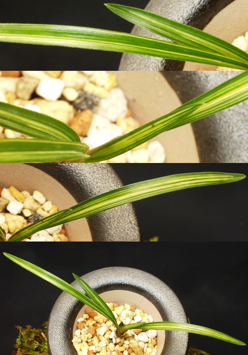 ������ ū������ �� �� �ֽ��ϴ�.