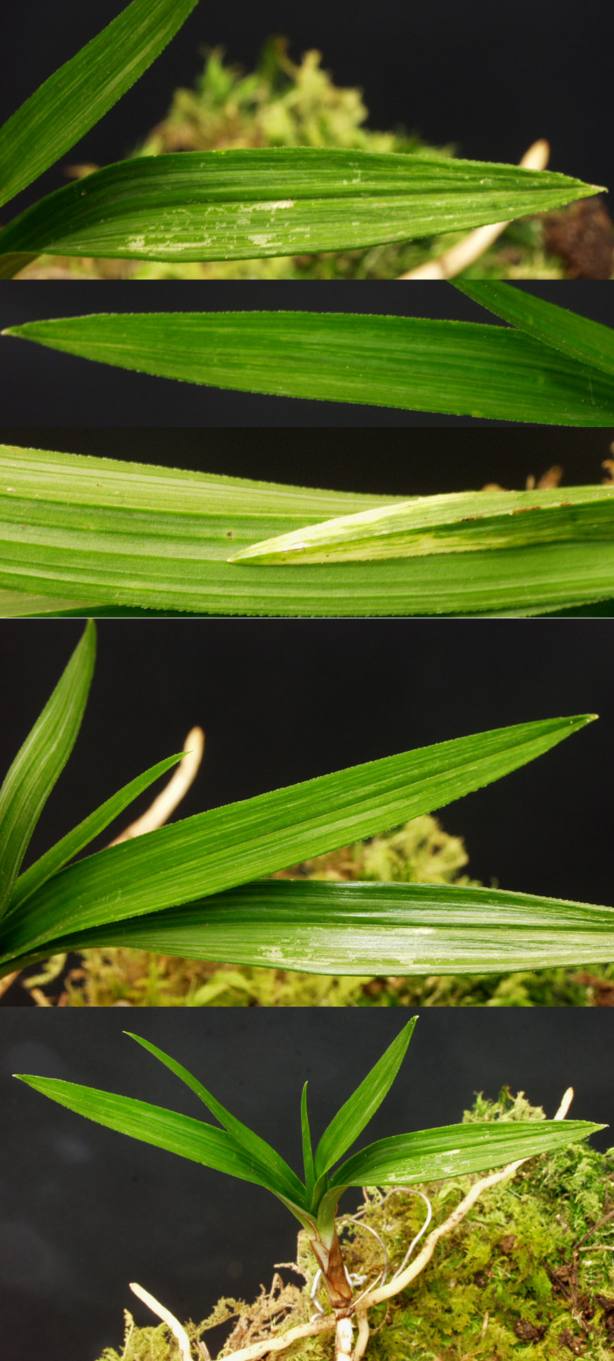 ������ ū������ �� �� �ֽ��ϴ�.