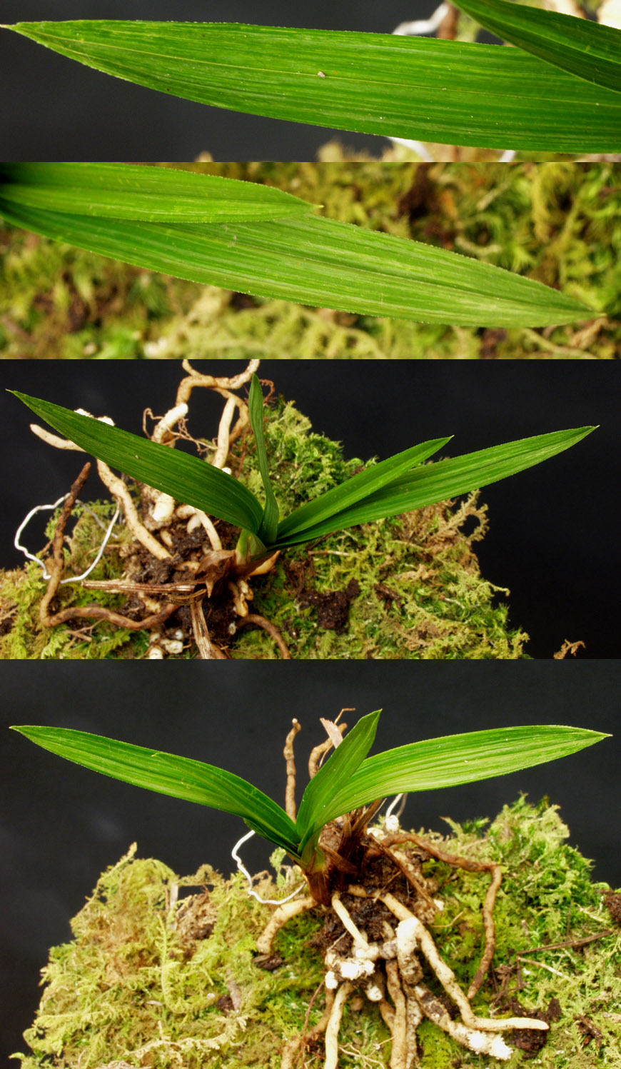 ������ ū������ �� �� �ֽ��ϴ�.