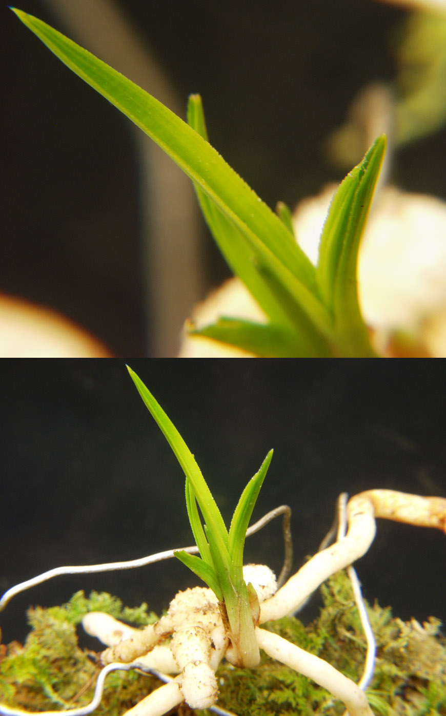 ������ ū������ �� �� �ֽ��ϴ�.