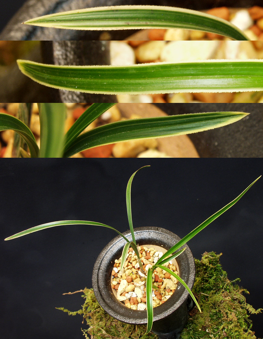 ������ ū������ �� �� �ֽ��ϴ�.